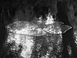 �����ƁE���쏟�l