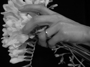 Enlarge photo: Moebius/Ring: NISHIKAWA Katsuhito