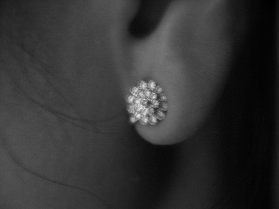 ロゼッタ/イヤリング:西川勝人